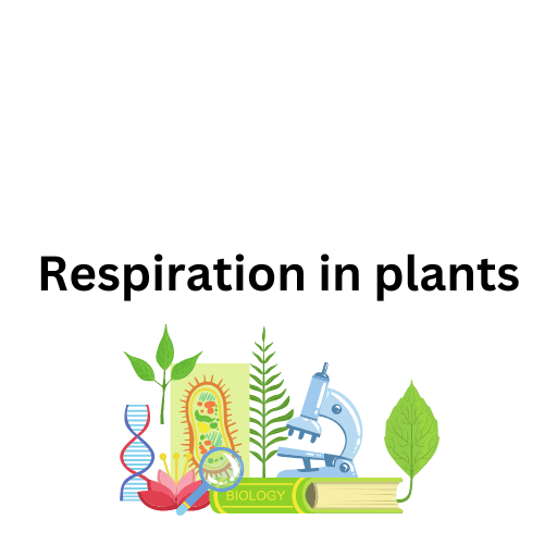 Respiration in plants 